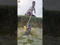 Most attractive Fishing Trap Creat village boy. Catch big fish amazing ideas #fish #fishing #shorts
