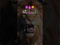 sigma rule 🦁🔥|lion attitude status| attitude dialogue shorts| Hindi quotes|#shorts #viral #trending