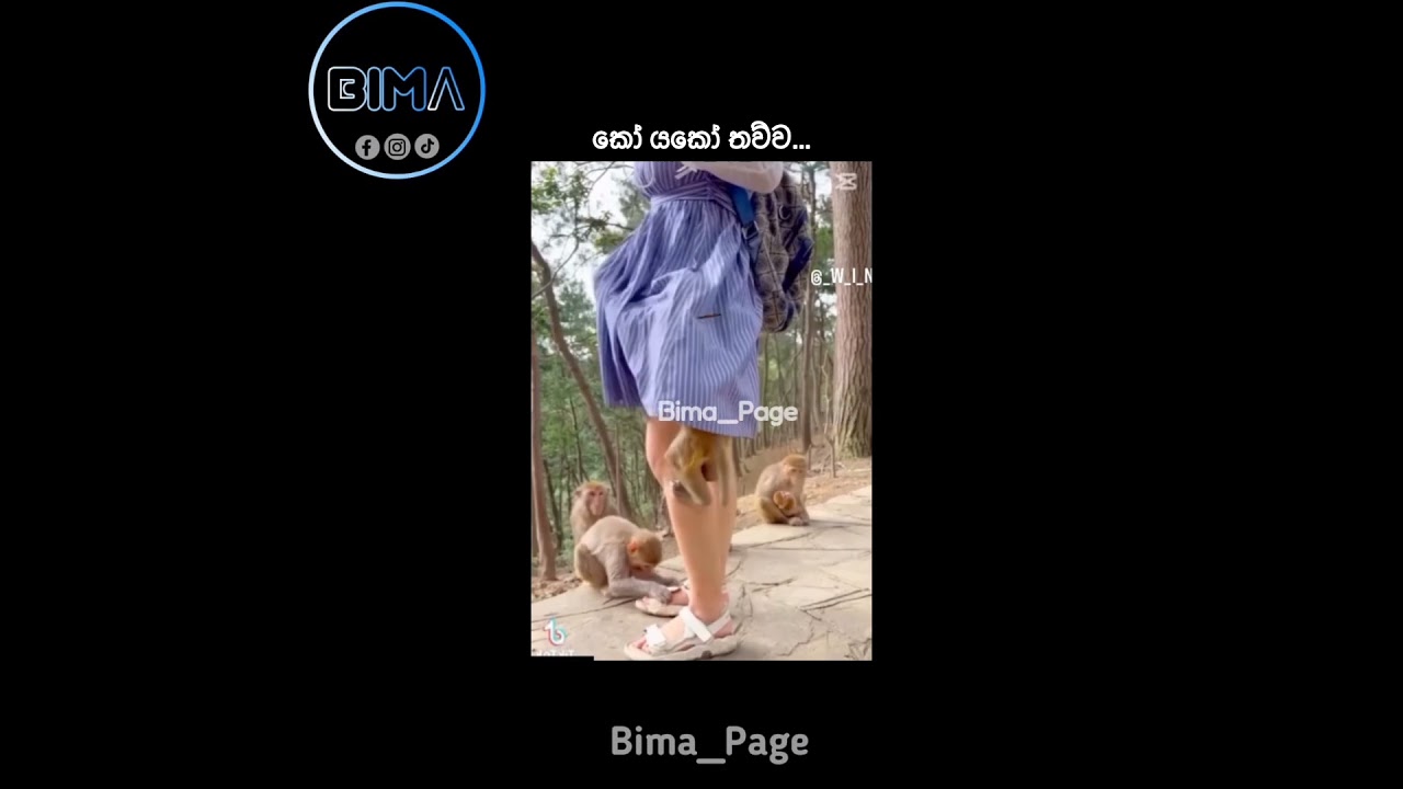 තව්ව කෝ....