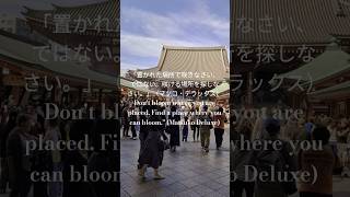 芸能人の名言(浅草寺 宝蔵門)Celebrity quotes (Sensoji Temple Hozomon)