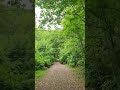 قرآن غابات سورة الكهف قرآن غابات سورة الكهف