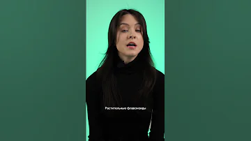 Для чего организму нужны флавоноиды?