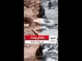 بمنخل ومجرفة أب في حي الصبرة بقطاع غزة يحاول جمع الرفات والعظام لعائلته ودفنهم بكرامة 