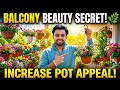 How to Make Your Balcony Look Beautiful! 🌸✨ #Shorts