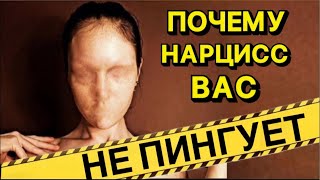 видео: ПОЧЕМУ НАРЦИСС ВАС НЕ ПИНГУЕТ #нарцисс #психология #отношения #черныйпион картинка: ПОЧЕМУ НАРЦИСС ВАС НЕ ПИНГУЕТ #нарцисс #психология #отношения #черныйпион