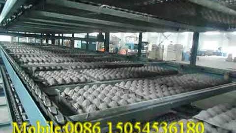 multi layer drying line for paper egg tray machine