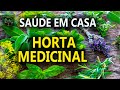 Plantas Medicinais para Plantar em Casa, Saúde e Alegria com Sandra Regina