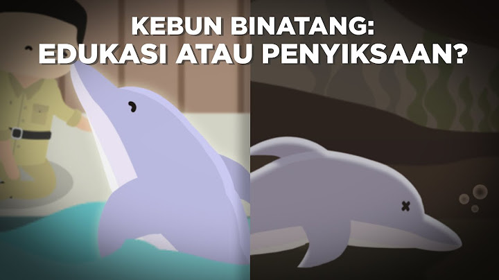 Kebun Binatang: Edukasi atau Penyiksaan Hewan?