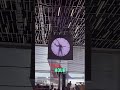 The Genius Airport Illusion