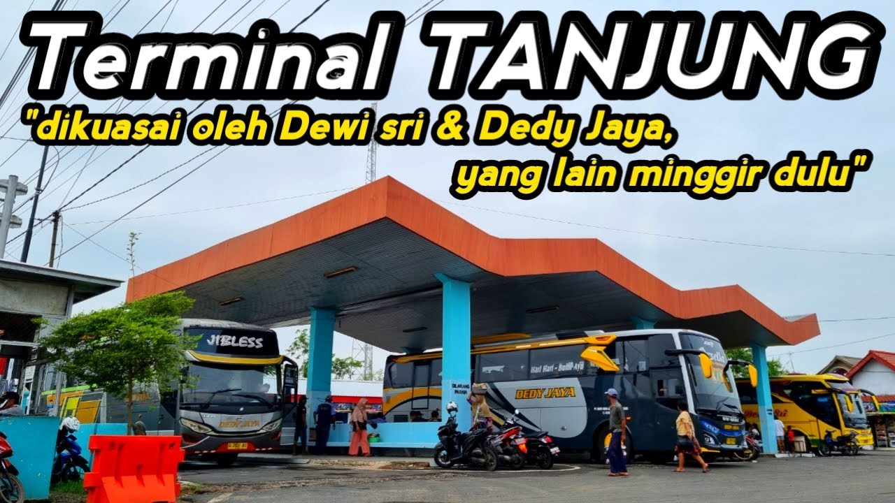 NGGAK ADA BUS LAIN SELAIN BUS DEWI SRI DAN BUS DEDY JAYA !! Terminal Tanjung Brebes