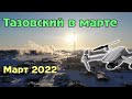 Тазовский с высоты в марте 2022 года