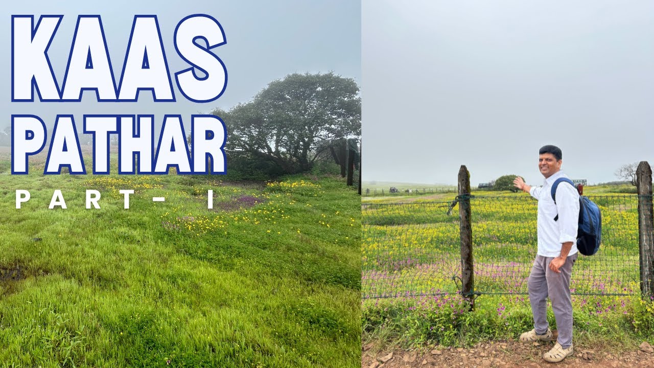 Kaas Pathar ! satara kaas pathar! pune to kaas pathar! Flower of Valley ...