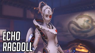 Echo Ragdoll Skin Showcase - Overwatch 2