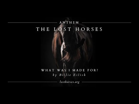 The Wild Beauty Foundation: House Committee Advances Measure Targeting America's Horse Slaughter Pipeline