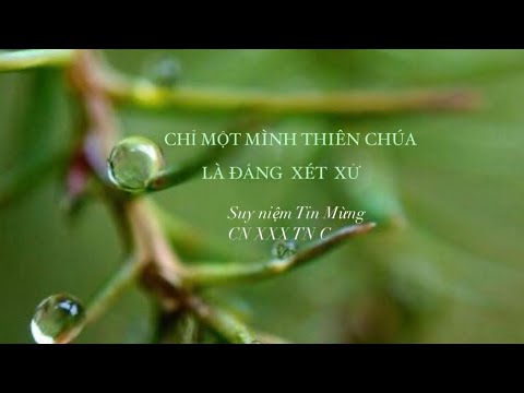 ☘️CHỈ MỘT MÌNH THIÊN CHÚA ✝️ LÀ ĐẤNG  XÉT XỬ | Suy niệm Tin Mừng CN XXX Mùa Thường niên năm C