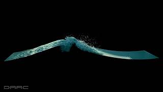 Plunging Breaking Wave