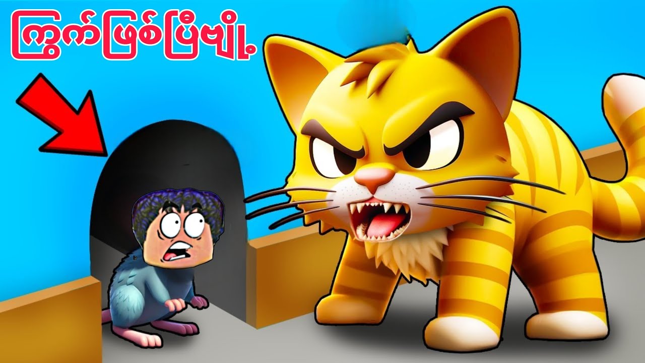 ကြောင်နဲ့ကြွက် တူတူပုန်းတန်းဆော့ပြီဗျို့❗😱cat vs mouse in Roblox
