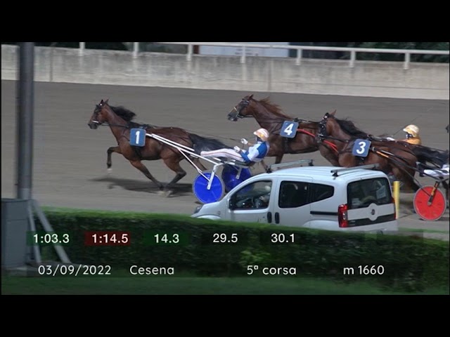 2022 09 03 | Corsa 5 | Metri 1660 | Premio Campionato Europeo Gruppo Orogel - Prima Prova