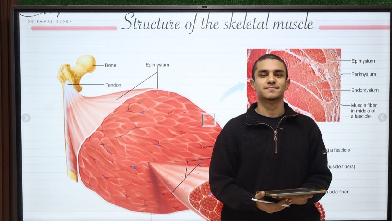 Biology revision ch1 movement in man مراجعة مادة البيولوجي للثانوية العامة المصرية 2026