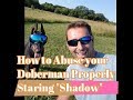 How to abuse your Doberman properly with guest star Brook Houts