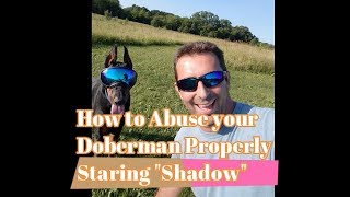 How To Abuse Your Doberman Properly With Guest Star Brook Houts