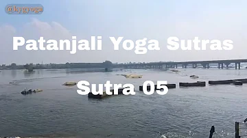 Yoga Sutra 05 at Sri Sangameshwarar Temple | Patanjali Yoga Sutras | @kygyoga