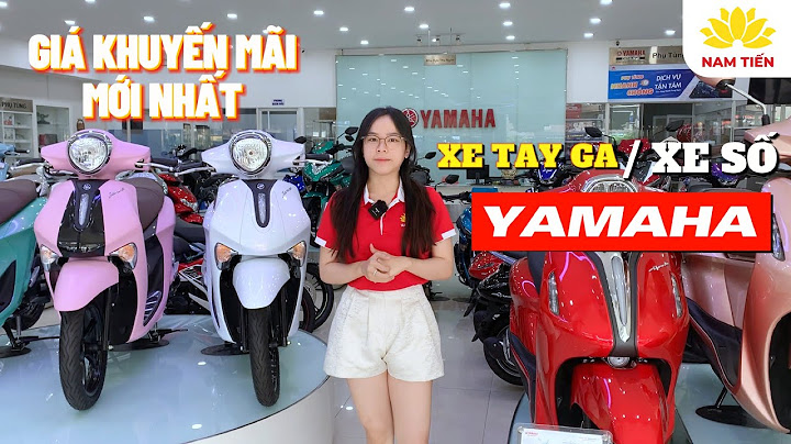 Xe tay ga yamaha giá bao nhiêu năm 2024