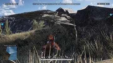 Ring of Elysium. Rock bug