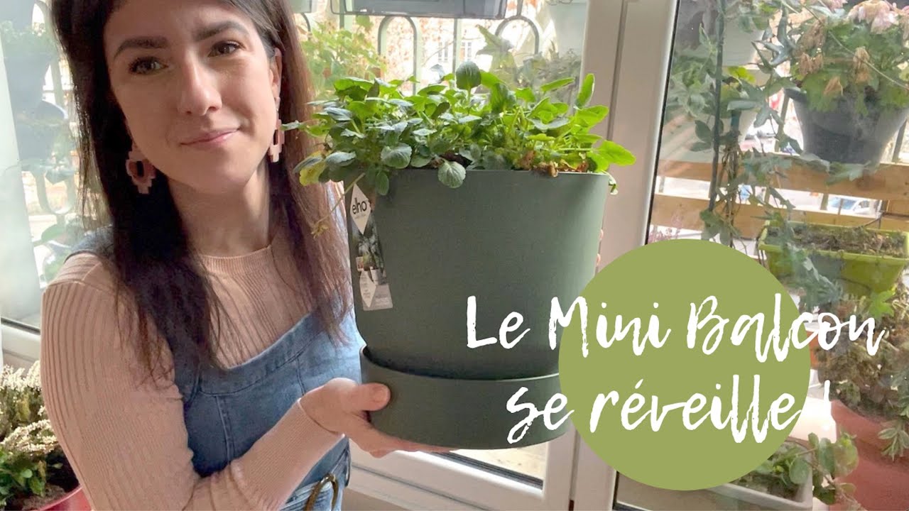 Les bulbes de printemps se réveillent !! On réorganise le Mini balcon # 15