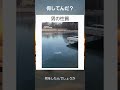 男の性質