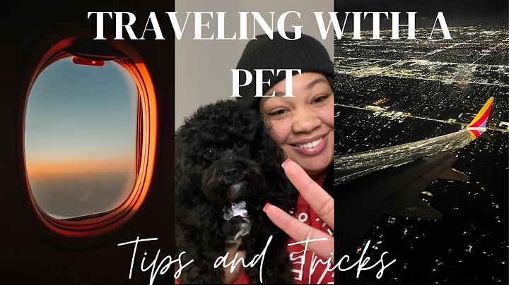 THINGS YOU NEED TO KNOW BEFORE FLYING WITH A PET F...