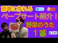 【ペープサート】やさいのうた　１番！！
