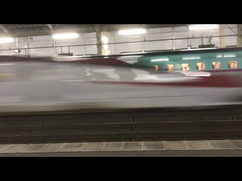 Shinkansen - The Bullet Train  東北新幹線 郡山駅　新幹線はやぶさ・こまち通過