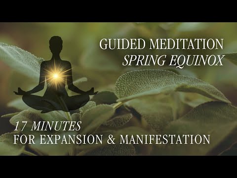 Guided Meditation - Spring Equinox 2024 🌱 🌞