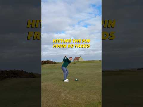 I can’t believe this approach shot didn’t go in #golf #golfshot #golfswing