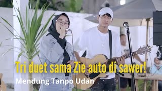 Mendung Tanpo Udan -  Ndarboy Genk | Cover Elfariziee Ft. Tri Suaka  (  Music Live )