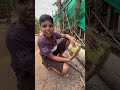 కొబ్బరి కాయ ఎలాకొట్టలో తెలుసుకుందాం 🌴🥥🌴