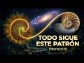 El número secreto del universo 🌀 | Fibonacci, abejas y proporción áurea #cienciaasombrosa