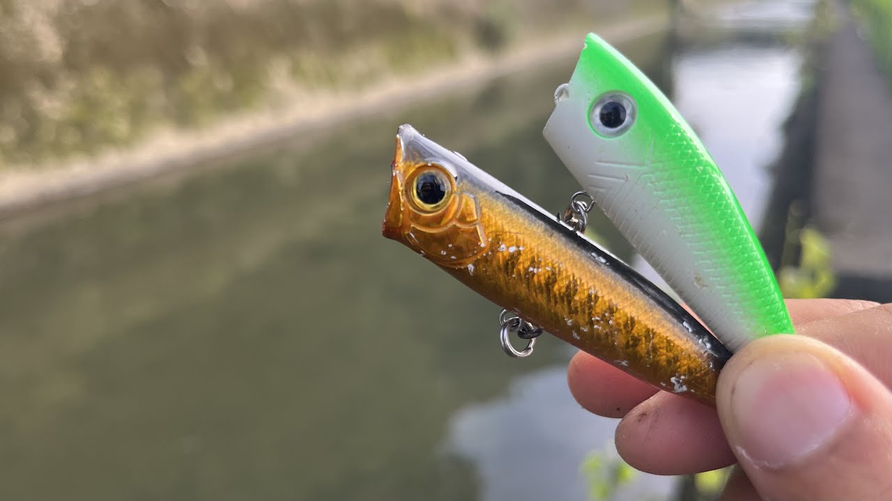 100均ポッパーでナマズ釣り