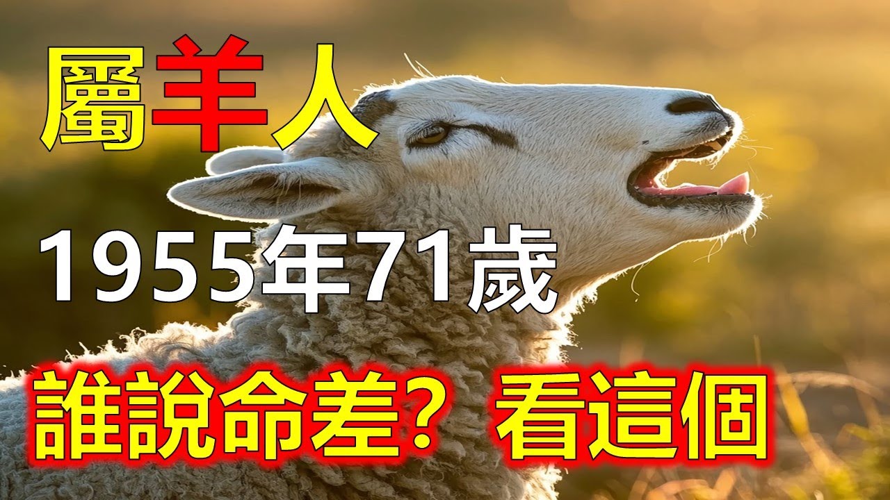 乙未羊的貴人方向：東南方帶來機會與緣分，命理指出，1955年屬羊人貴人多來自東南方。無論旅居、工作或貴人相助，多與此方位有關。若能順勢而為，住居或出行朝東南