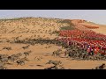 7.500 DOGS vs 9.000 PRAETORIAN GUARDS - Total War ROME 2