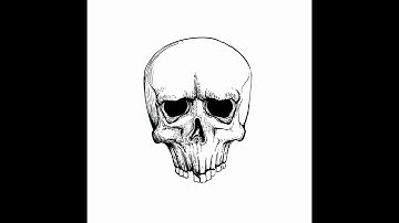 Inking process with Ipad gen7 | Timelapse | skull