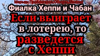 Фиалка Хеппи.Джованнни любил Хеппи,потом Вилли любил,теперь Чабан любит.Закончатся деньги,вот тогда