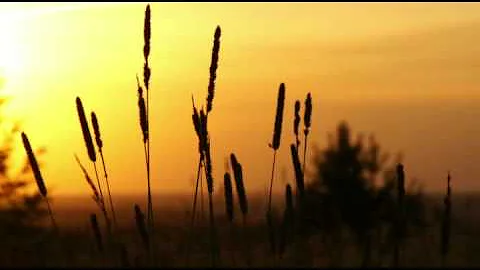 Steve Jablonsky-Infini...  White
