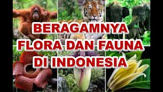 RAGAM FLORA DAN FAUNA DI INDONESIA #FLORADANFAUNA