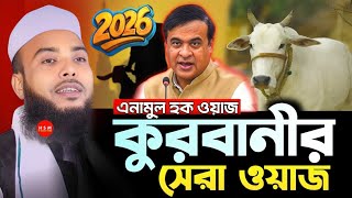 Anamul hapue waz || Moulana Anamul waz || Enamul Haque saheb bangla was || was