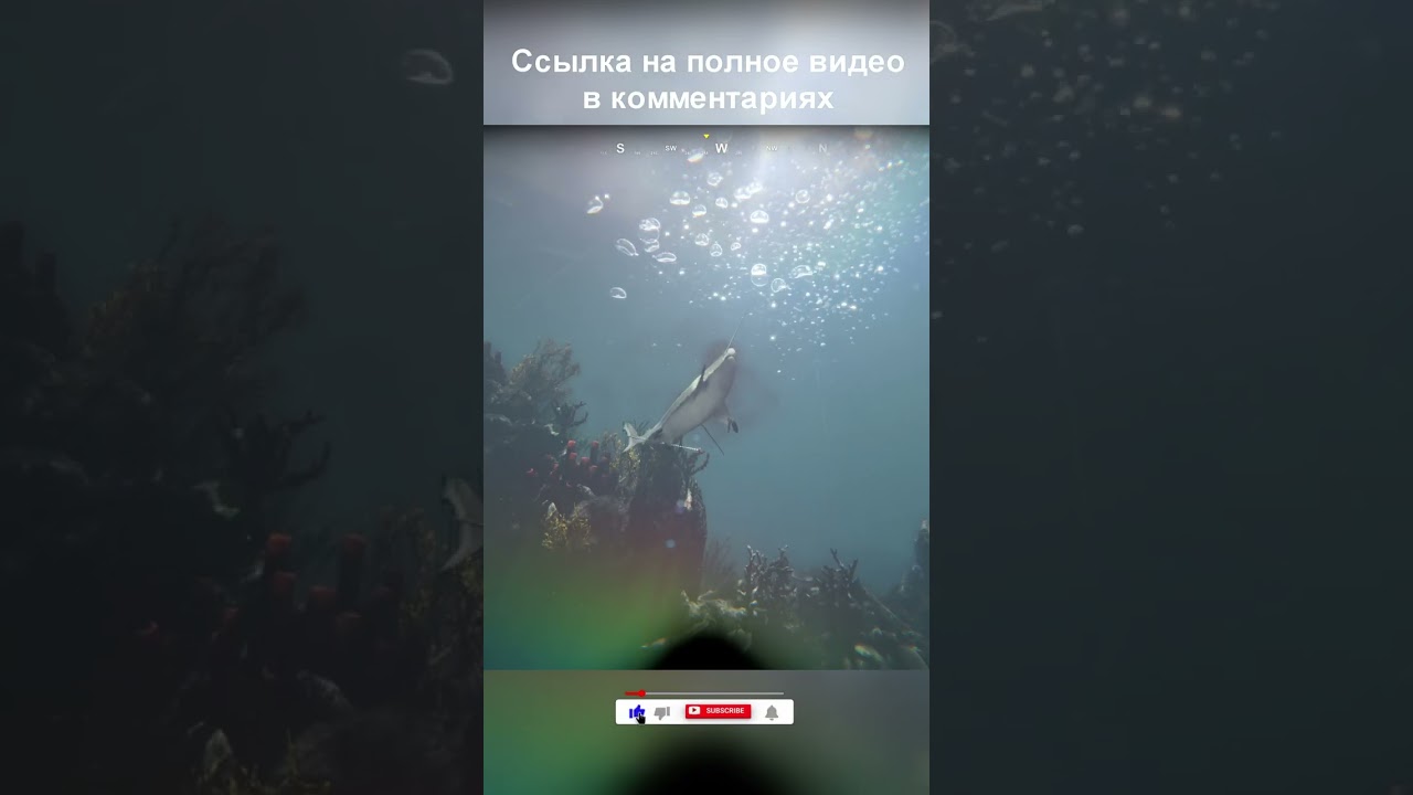 ПОЙМАЛ РЫБКУ || Death in the Water 2