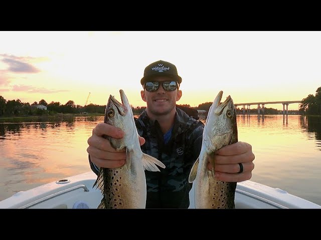 elizabeth lake fishing lures Fisherman's Gold Electric Eel Jigs X family Lake X Lures Dr. Evil
