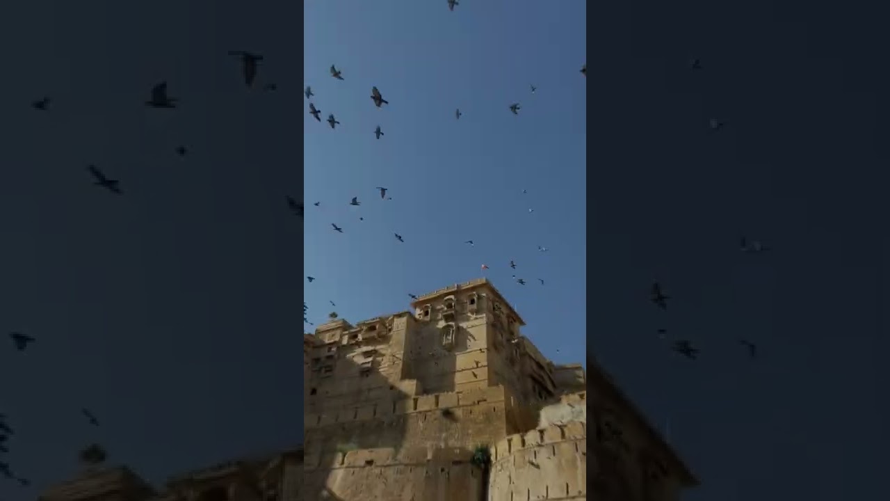 Rajasthan Tour🔥