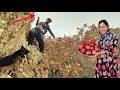 Rain, Mountains, and Love | A Nomadic Husband’s Journey for His Pregnant Wife🤰🍎🌧️